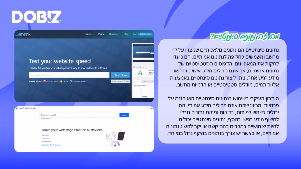 הסבר על נתונים סינתטיים | דמיטרי פולשצ'וק, סטודיו דוביז